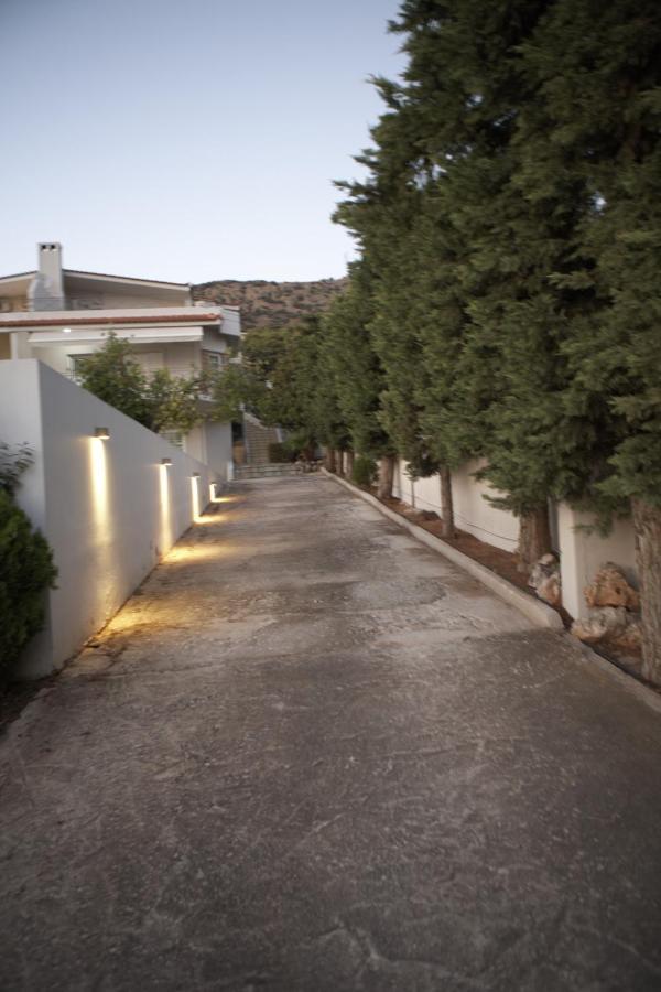 Villa Deep Blue Agia Marina (Attica) Exterior foto